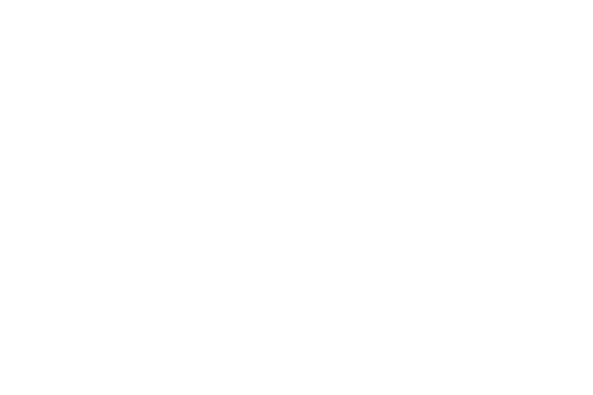 Copia e Cola-12 (1).png