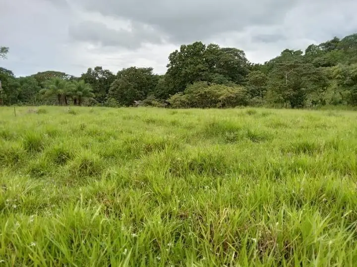 Área rural vazia